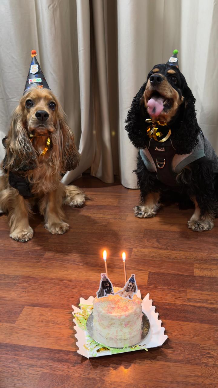 Torta Pet-Friendly